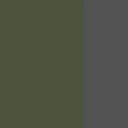 Color "green grey", Green