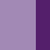 Color "darkviolett violett", Purple