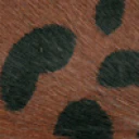 Color "lightbrown black", Brown