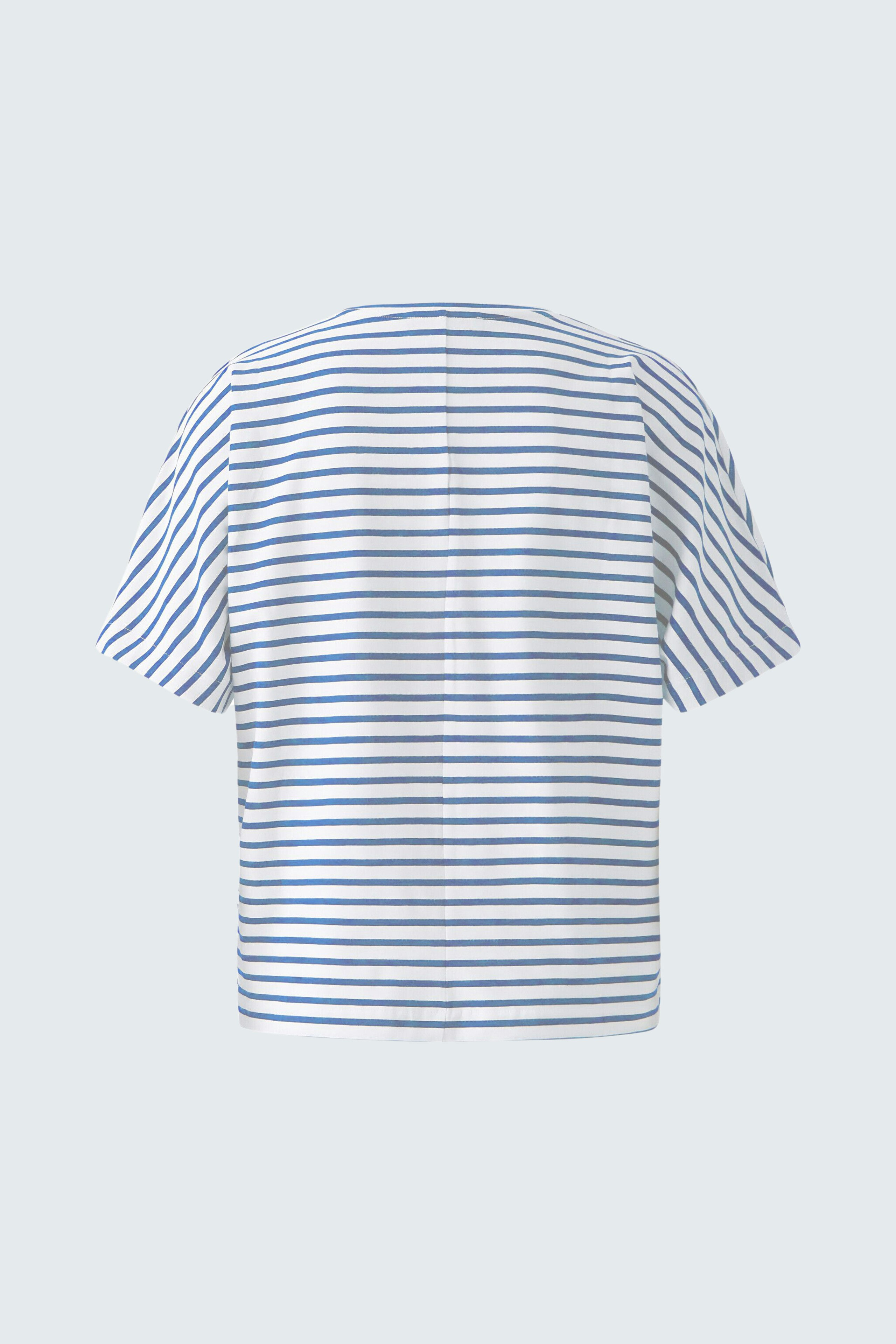 Casual women's T-shirt: Back view of a striped top with blue and white lines, perfect for everyday wear.