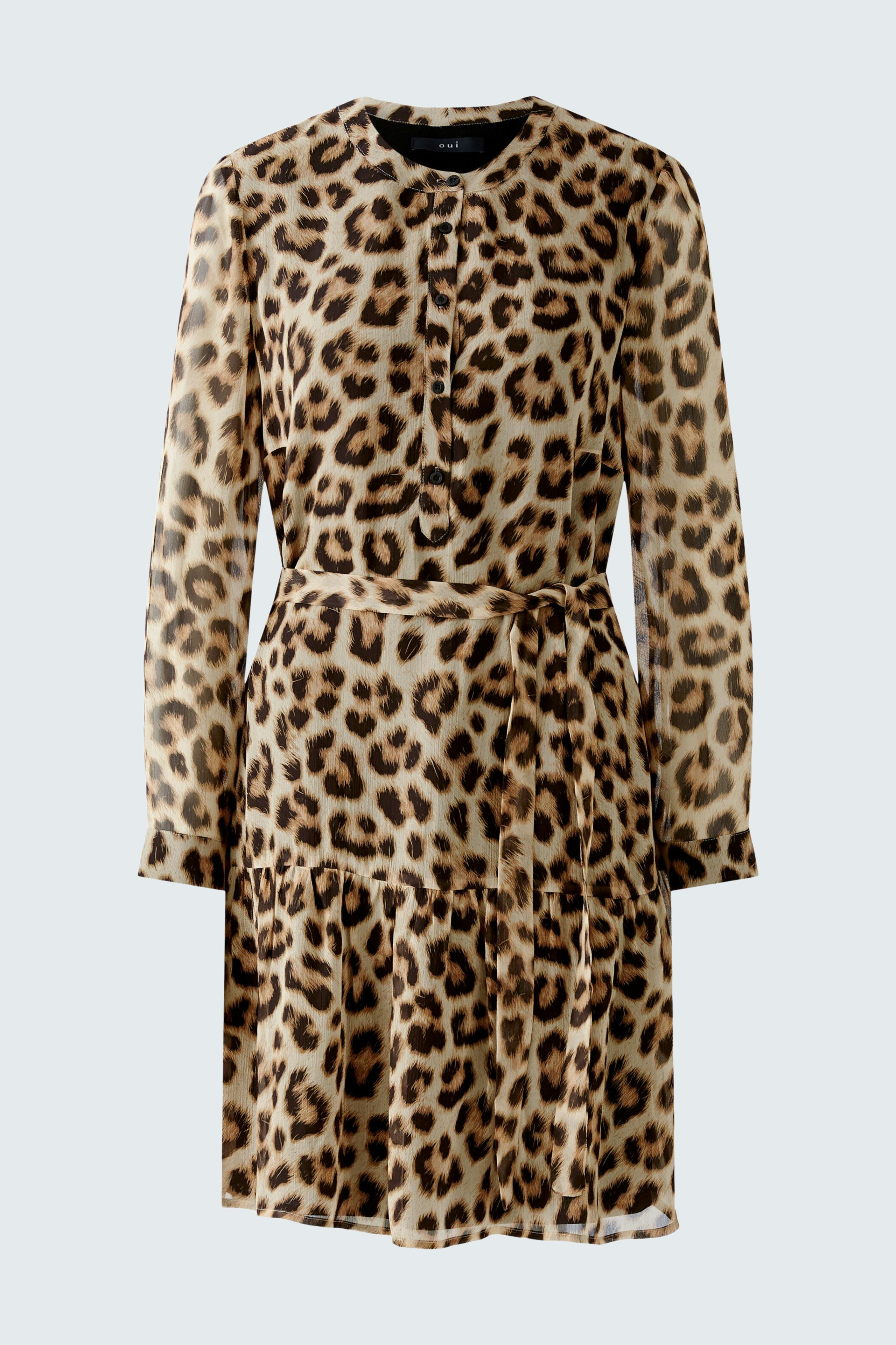 Leopard print dress: A stylish women's dress with long sleeves and a cinched waist, perfect for casual outings.