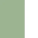 Color "lightgreen white", Green