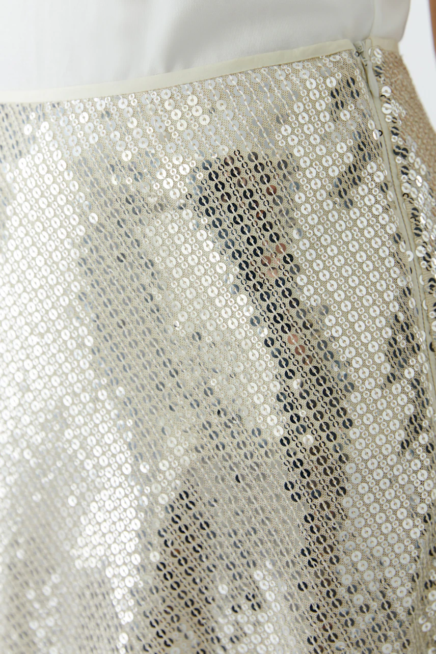 Shiny A-line skirt: Close-up of a woman's skirt with sequins, reflecting light in various angles.