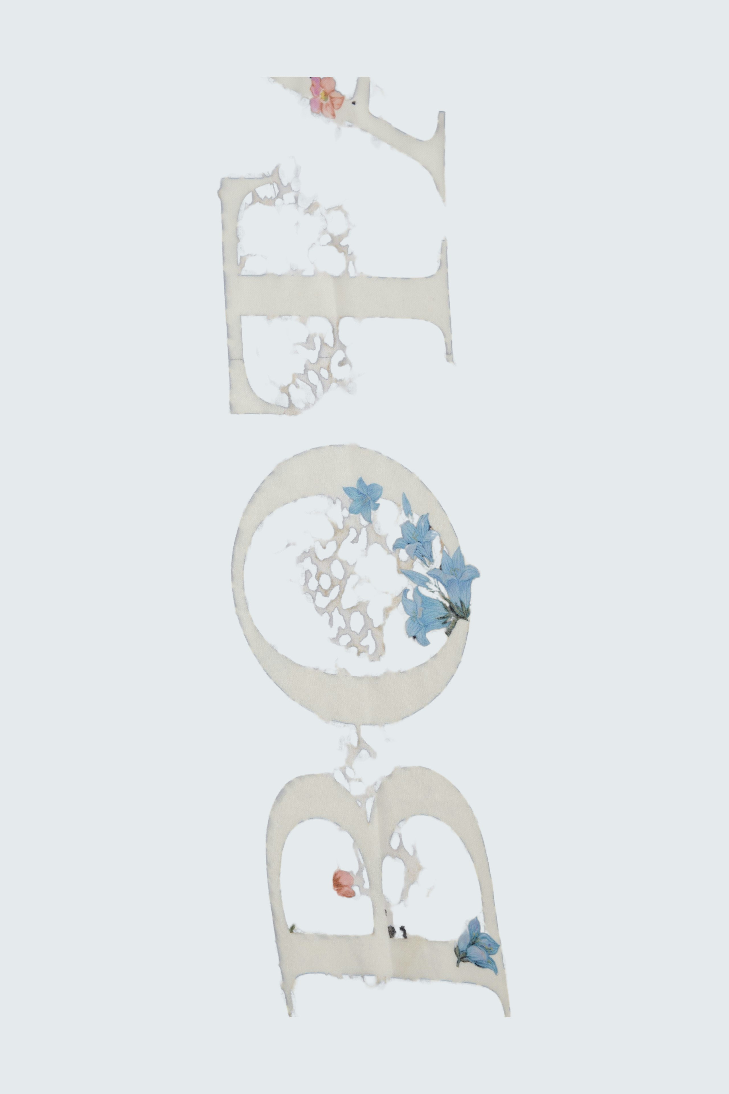 Bunter Damen-Schal mit floralen Motiven, ideal für einen lässigen Look.