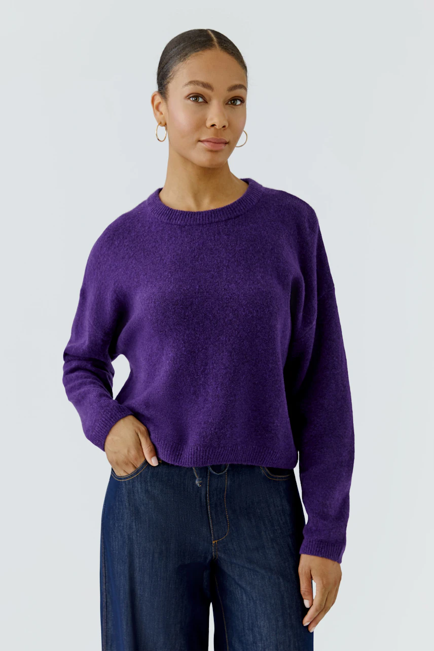 Casual women's pullover: Woman in a purple pullover and jeans, standing confidently.