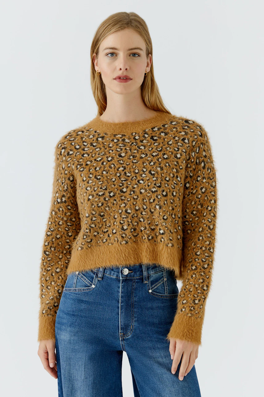 Lässiger Damen-Pullover: Frau im gemusterten Pullover und blauer Jeans, modern und stilvoll.